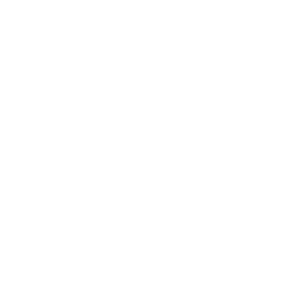 Puentes dentales/Parciales